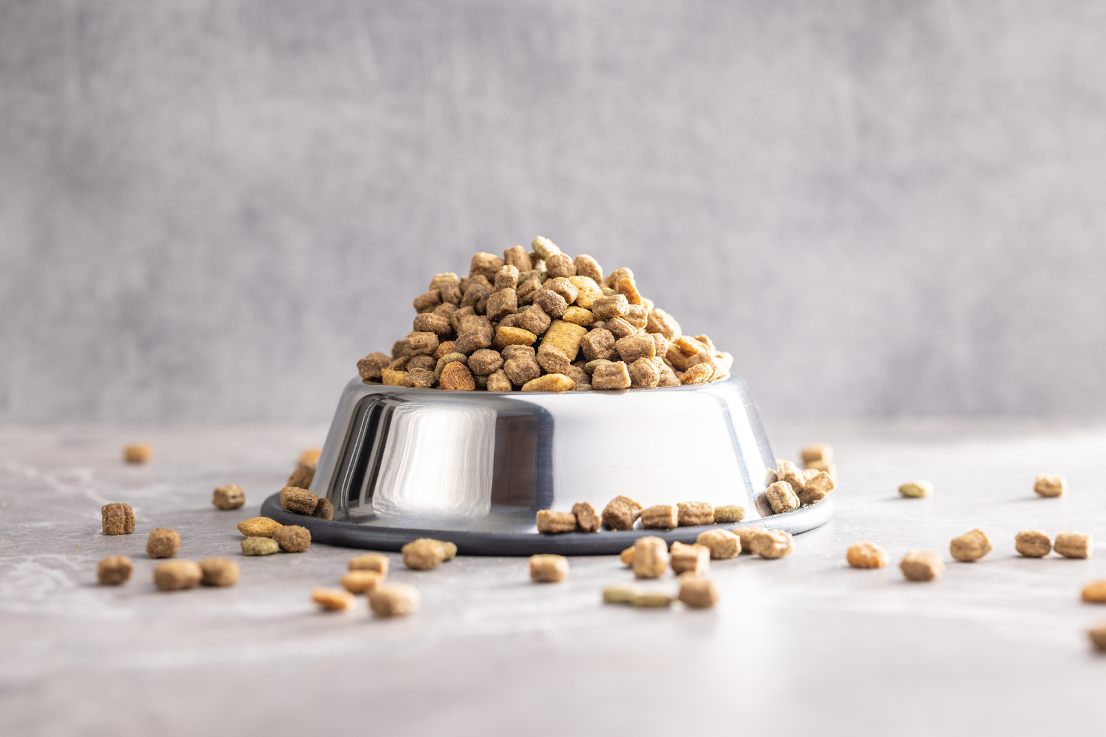 Dry kibble pet food. Dog or cat food in bowl on gray table.